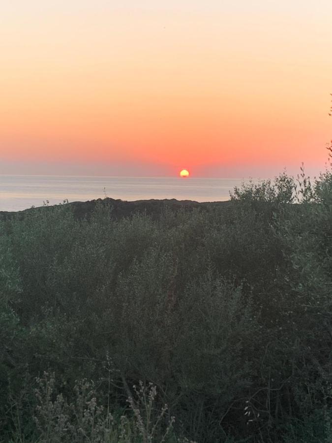 Stazzu Nuraghe Mannucciu ξενώνας Rena Majore Εξωτερικό φωτογραφία