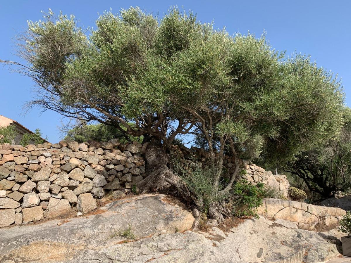 Stazzu Nuraghe Mannucciu ξενώνας Rena Majore Εξωτερικό φωτογραφία